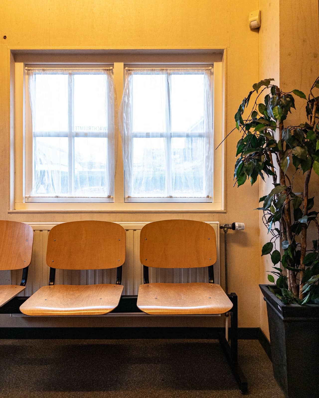 An empty waiting room with wooden chairs and a plant in soft window light